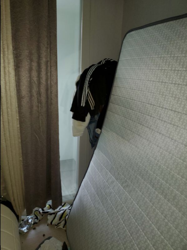 첨부된 이미지파일